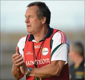  ??  ?? John Meyler on the line as Carlow manager against Wexford in Wexford Park in 2013.