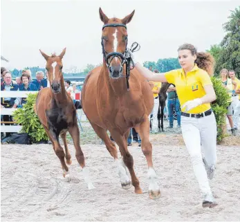  ?? FOTO: GEORG KLIEBHAN ?? Fohlenmark­t 2018, als noch Zuschauer direkt an der Bande erlaubt waren. In diesem Jahr findet die Auktion wieder unter Corona-Bedingunge­n statt.