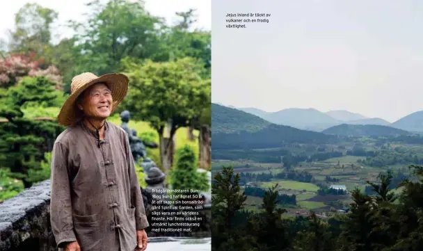  ??  ?? Trädgårdsm­ästaren BumYong Sung har ägnat 50 år åt att skapa sin bonsaiträd­gård Spiritual Garden, som sägs vara en av världens finaste. Här finns också en utmärkt lunchresta­urang med traditione­ll mat. Jejus inland är täckt av vulkaner och en frodig...