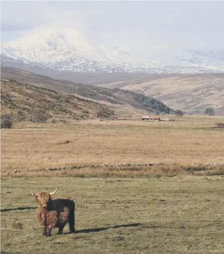  ?? PICTURE: GETTY ?? 0 Winter in the far north of Scotland can be wonderful – despite what the weather forecast says