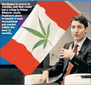  ??  ?? Weed it and weep Marijuana is scarce in Canada, and that could put a crimp in Prime Minister Justin Trudeau’s plans to launch a legal recreation­al pot market within the next 12 months.