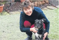  ??  ?? Carol Begg with some of her rescue gundogs, top, and Sarah Turner with Romanian rescue dog Lola. Pictures: Angus Whitson.