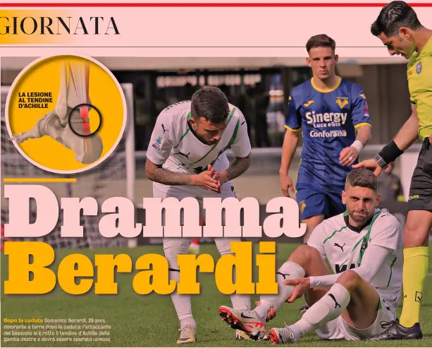  ?? LAPRESSE ?? LA LESIONE AL TENDINE D’ACHILLE
Dopo la caduta Domenico Berardi, 29 anni, dolorante a terra dopo la caduta: l’attaccante del Sassuolo si è rotto il tendine d’Achille della gamba destra e dovrà essere operato