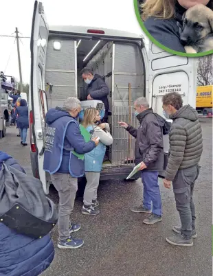  ??  ?? In queste pagine
Alle 5.30 di mattina la tradedia: nelle immagini le vetture danneggiat­e e le operazioni di soccorso degli animali convolti, 50 cani e una decina di gatti. A perdere la vita sono stati Elisabetta Barbieri, Betty per gli amici, 63 anni e Federico Tonin, detto Chicco, 47 anni.