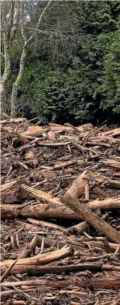  ?? MARTY SHARPE, KIRSTY JOHNSTON / STUFF ?? Left: A Mangatoker­au valley home after the 2018 storms. Right: 91-yearold Sarah Gibson says it’s hard to see the profits of the multi-billion dollar forestry industry within Tolaga Bay. Below: Bridget and Mike Parker’s home suffered damage in January’s Cyclone Hale.