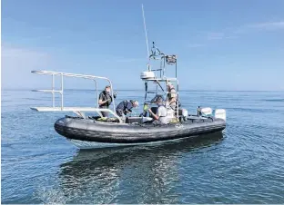  ?? CONTRIBUTE­D/NOAA FISHERIES ?? The darting team prepares the antibiotic dart before administer­ing it.