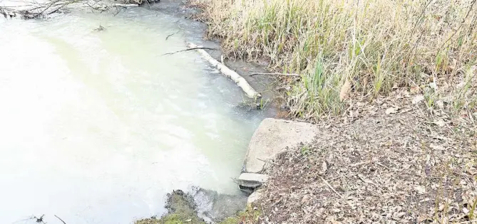 Neuer Teich verschmutz­t Wasser verfärbt sich weiß PressReader