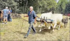  ?? - Crédits : ON ?? Un attelage comme on n’en voit guère plus