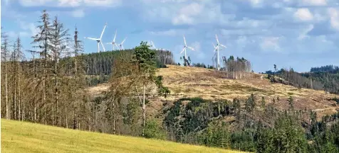  ?? PETER HAGEN ?? Toter Wald und Windräder - Klima, Natur und Energieerz­eugung befinden sich derzeit in einem völligen Umbruch.