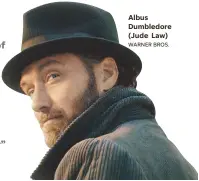  ?? WARNER BROS. ?? Albus Dumbledore (Jude Law)