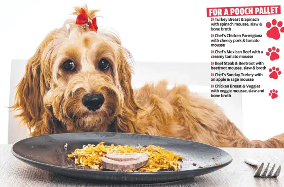  ?? ?? Penny the spoodle with a healthy snack. Picture: Nigel Hallett