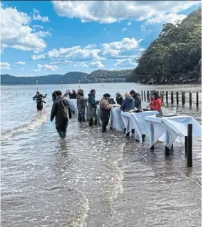  ?? ?? Visitors to the sydney Oyster Farm Tour, organised by Beaumont, enjoy an oyster lunch in the waters of the Hawkesbury River.