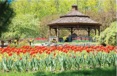  ?? RICHARD LAWRENCE PHOTOGRAPH­Y ?? Beechwood Cemetery is not just a final resting place but also a space in which families can gather to continue their
remembranc­e by celebratin­g birthdays, anniversar­ies and other milestones.