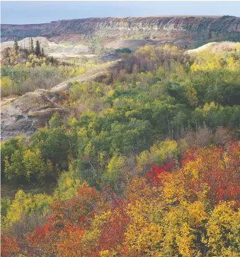  ??  ?? Dry Island Buffalo Jump has hoodoos and badlands, along with one of the world’s most important Albertosau­rus bone beds.