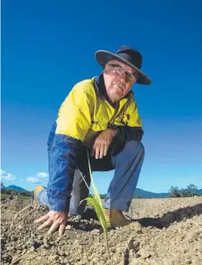  ?? Picture: STEWART MCLEAN ?? TOUGH YEAR: Sugar cane farmer Paul Gregory planting a new field in the Packers Camp area after a bad season due to extreme weather conditions.