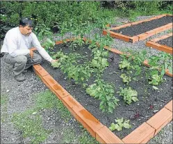  ??  ?? AREA METROPOLIT­ANA. Según el INTA, la producción urbana y periurbana podrían producir el 50% de la comida requerida.