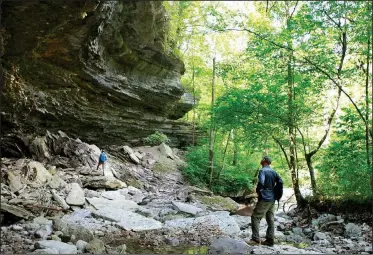  ?? NWA Democrat-Gazette/DAN HOLTMEYER ?? Isaac Ogle (right) and his wife, Jennifer, explore a bluff shelter along a spring-fed creek Sunday in the Devil’s Eyebrow Natural Area in northeast Benton County. Jennifer Ogle is a land management specialist with the Arkansas Natural Heritage...