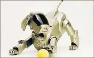  ??  ?? ADVANCED TECHNOLOGY: Robot dogs could be the future