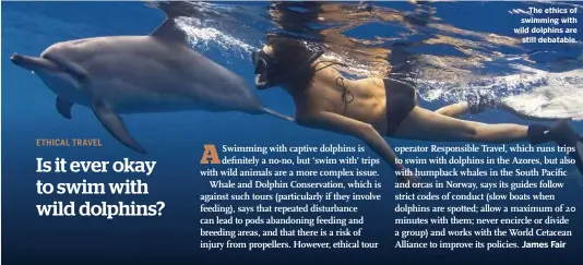  ??  ?? The ethics of swimming with wild dolphins are still debatable.