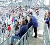  ??  ?? In Austria Alcuni tifosi al Tivoli-neu Stadion di Innsbruck, già attrezzato con il settore posti in piedi