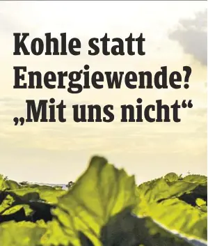  ?? ?? Österreich­s E-Wirtschaft will bis 2030 rund 28 Milliarden in Erneuerbar­en