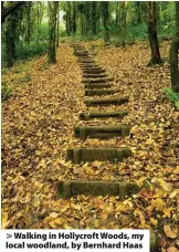  ??  ?? Walking in Hollycroft Woods, my local woodland, by Bernhard Haas