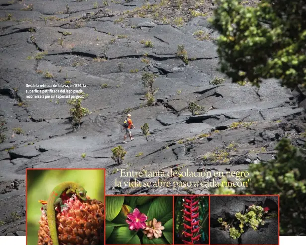  ??  ?? Desde la retirada de la lava, en 1924, la superficie petrificad­a del lago puede recorrerse a pie sin (apenas) peligros.