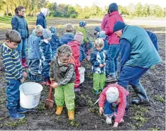  ?? Foto: Christian Kruppe ?? Nur noch eine knapp drei Meter lange Furche hat ein Dieb auf dem Kartoffela­cker von Hans Pfänder (rechts) übrig gelassen. Die Kartoffeln waren eigentlich für die Kinder des St. Christophe­rus Kindergart­ens gedacht.