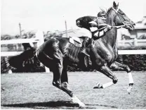  ?? PHOTO: STATE LIBRARY OF VICTORIA ?? Phar Lap won the Melbourne Cup on this day in 1930.