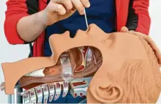  ?? Fotos: dpa ?? Hier siehst du an einem Modell, wie ein Coronatest durch die Nase durchgefüh­rt wird.