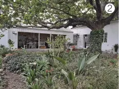  ??  ?? A huge freestandi­ng galvanised zinc veranda overlooks the square garden under the oak tree. Here, Clifford and Maryke can enjoy watching their feathered visitors – either in the morning when they’re sipping their first cup of coffee or when they’re cooking and dining outdoors.