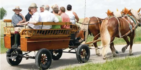  ?? Fotos: Gerlinde Drexler ?? Mit der Pferdekuts­che war ein Teil der Kommission in der Umgebung von Schorn unterwegs.