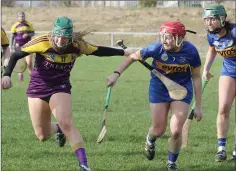  ??  ?? Joanne Dillon trying to make tracks towards the Tipperary goal.