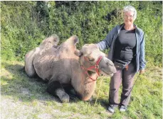  ?? FOTO: JOHANNES BÖHLER ?? Corinne Hafner zieht mit ihrem Kamel übers Land.