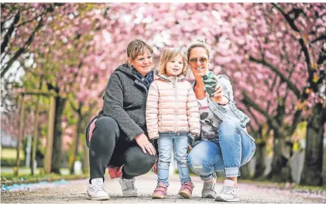 ?? FOTOS (2): LARS FRÖHLICH ?? Melanie Buchmann mit ihrer Tochter Romy und ihrer Schwester Nicole Seidel (von links) in der Kirschblüt­enallee.