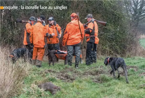  ??  ?? Douze chasseurs, dont presque une moitié de traqueurs, participen­t à cette battue.