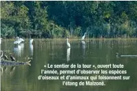  ??  ?? « Le sentier de la tour », ouvert toute l’année, permet d’observer les espèces d’oiseaux et d’animaux qui foisonnent sur l’étang de Malzoné.