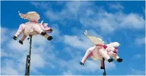  ?? MARK METCALFE/GETTY IMAGES ?? The Citizen’s phoney proposal on the biomechani­cs of how pigs fly was accepted for a bioscience­s conference.