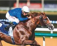  ?? Rex Features ?? Hawkbill, ridden by William Buick, wins the Sheema Classic at the Dubai World Cup on March 31. He will run in the £750,000 Prince of Wales’s Stakes at Royal Ascot today.