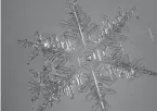  ?? Associated Press ?? ■ In this photo provided by Marco Tedesco of Columbia University's Lamont-Doherty Earth Observator­y, a snowflake is magnified though a microscope.