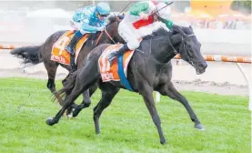  ?? Photo / Bruno Cannatelli ?? Aegon will contest the Gr.1 Rydges Captain Cook Stakes (1600m) at Trentham on Saturday.
