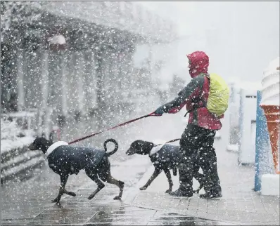  ?? PICTURE: PA WIRE ?? COLD SNAP: A dog walker in Aviemore, Scotland, as the Arctic weather in northern Scotland begins to move south.