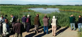  ??  ?? The Western Swamphen that visited Minsmere in summer 2016 attracted crowds of admirers.