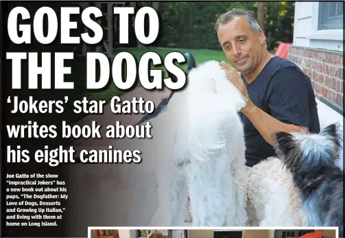  ??  ?? Joe Gatto of the show “Impractica­l Jokers” has a new book out about his pups, “The Dogfather: My Love of Dogs, Desserts and Growing Up Italian,” and living with them at home on Long Island.