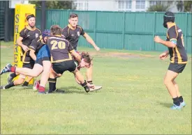  ??  ?? SAM Marshall-Wilson drives over for a try that started Bush’s comeback.