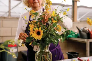  ?? (Dania Maxwell/ Los Angeles Times/ TNS) ?? Susan Spradley assembles a bouquet made from flowers that grow in her area and are sustainabl­e in a vase at the California Botanic Garden in Claremont, CA.