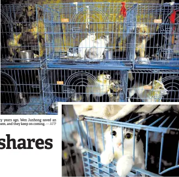  ?? Photos — AFP ?? Photo shows rescued cats and dogs in cages at a home for rescued animals in Chongqing, southweste­rn China. Twenty years ago, Wen Junhong saved an abandoned dog from the streets of Chongqing in southweste­rn China. She now shares her home with more than 1,300 of them, and they keep on coming.