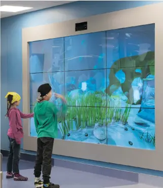  ??  ?? The team at NGX Interactiv­e, pushed themselves to create something truly exceptiona­l—a virtual aquarium (above) Spacious assessment rooms include artwork and ceiling tiles (right)