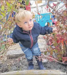  ?? KATHY JOHNSON PHOTOS ?? Ryan Guye peeks through the bushes as he explores The Little People’s Place playground. The non-profit childcare facility has been a mainstay in the Town of Shelburne for 40 years.