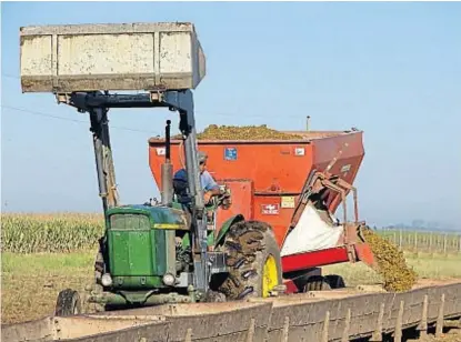  ?? (LA VOZ / ARCHIVO) ?? Alimentaci­ón. Uno de los costos que más subió para la ganadería, en especial para el engorde.